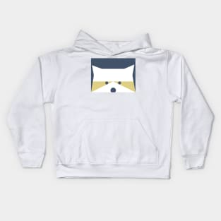 Peek-a-Boo Raccoon in Navy and Gold Kids Hoodie